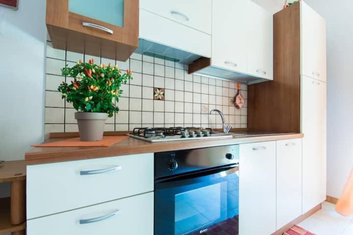 Апартаменти Casa Dante Кастелламмаре-дель-Гольфо Екстер'єр фото